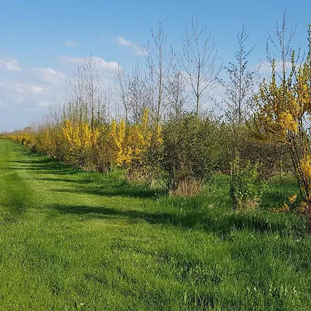 Prázdninový dům 4 Person In Nykobing M Refshammer